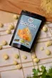 Gouda Insta food crispy cheese snacks 20 g